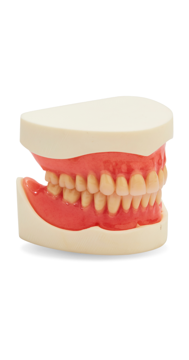 Precision_Nylon Splint (1200 x 630 px) (630 x 1200 px) (2)